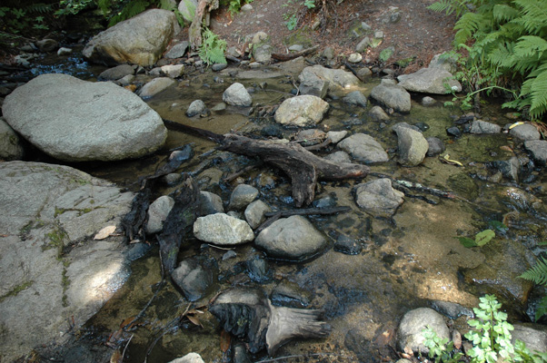 Soberanes Canyon 075.jpg
